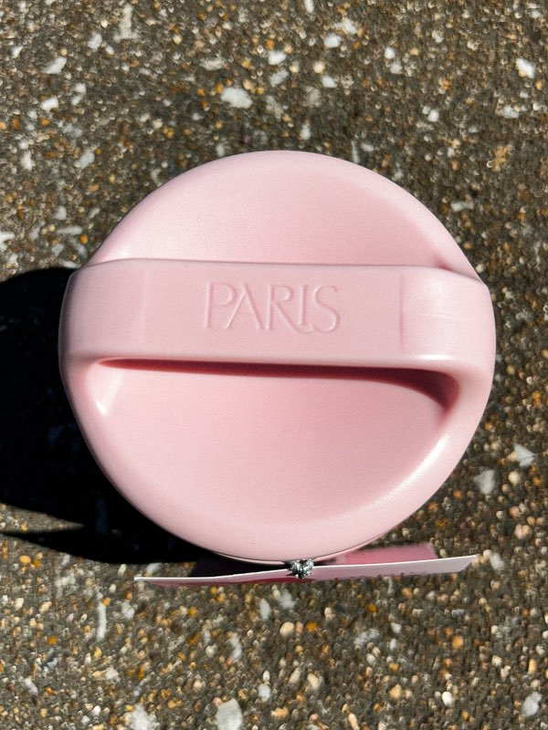 Pink Paris 12oz Food Container